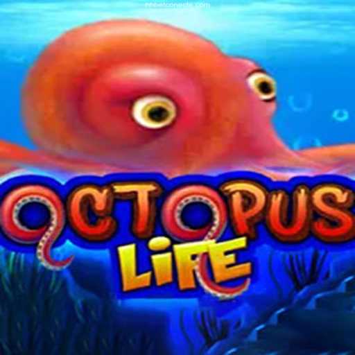 Explore the Exciting Adventure of OctopusLife